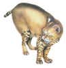 Babcat
